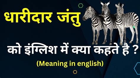 Meaning of jantu in English .